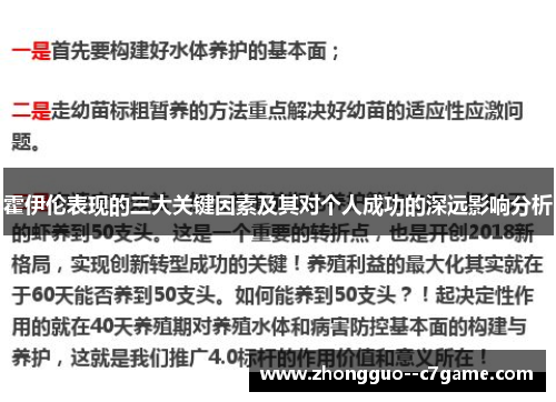 霍伊伦表现的三大关键因素及其对个人成功的深远影响分析